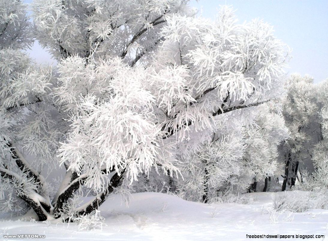 Winter Snow Wallpapers   HDPiCorner