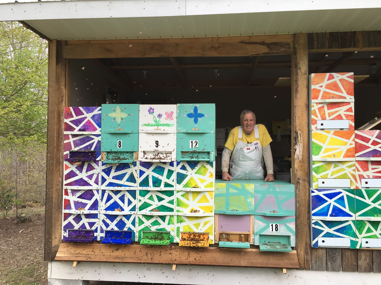 Linda's Bees AZ Hives in Gilmer County