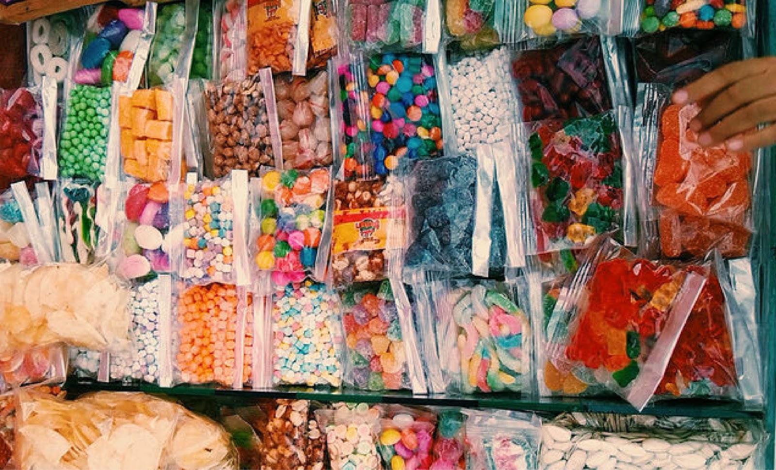 sugar candy travel mexico