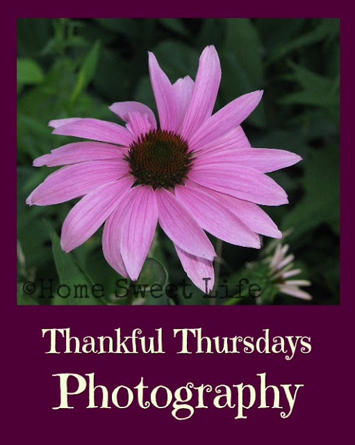 Thankfulness, photography