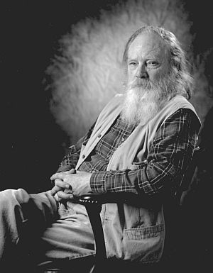 Cows at night picture