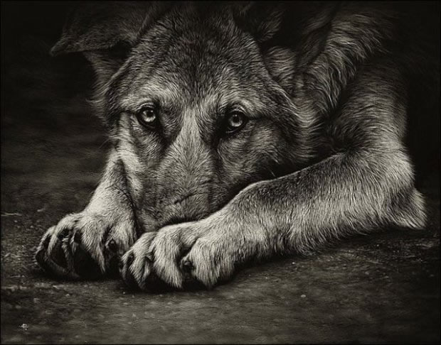 interesting pencil drawings interesting pencil drawings