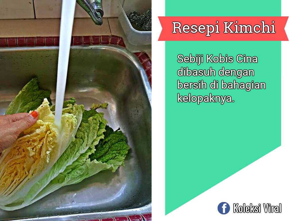 Resepi Kimchi Yang Paling Mudah Dan Simple - Koleksi Viral