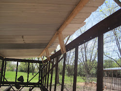 chicken wagon roof