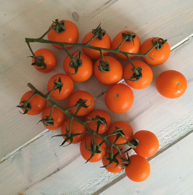 Aubergine and Yellow Tomato Curry. simply.food