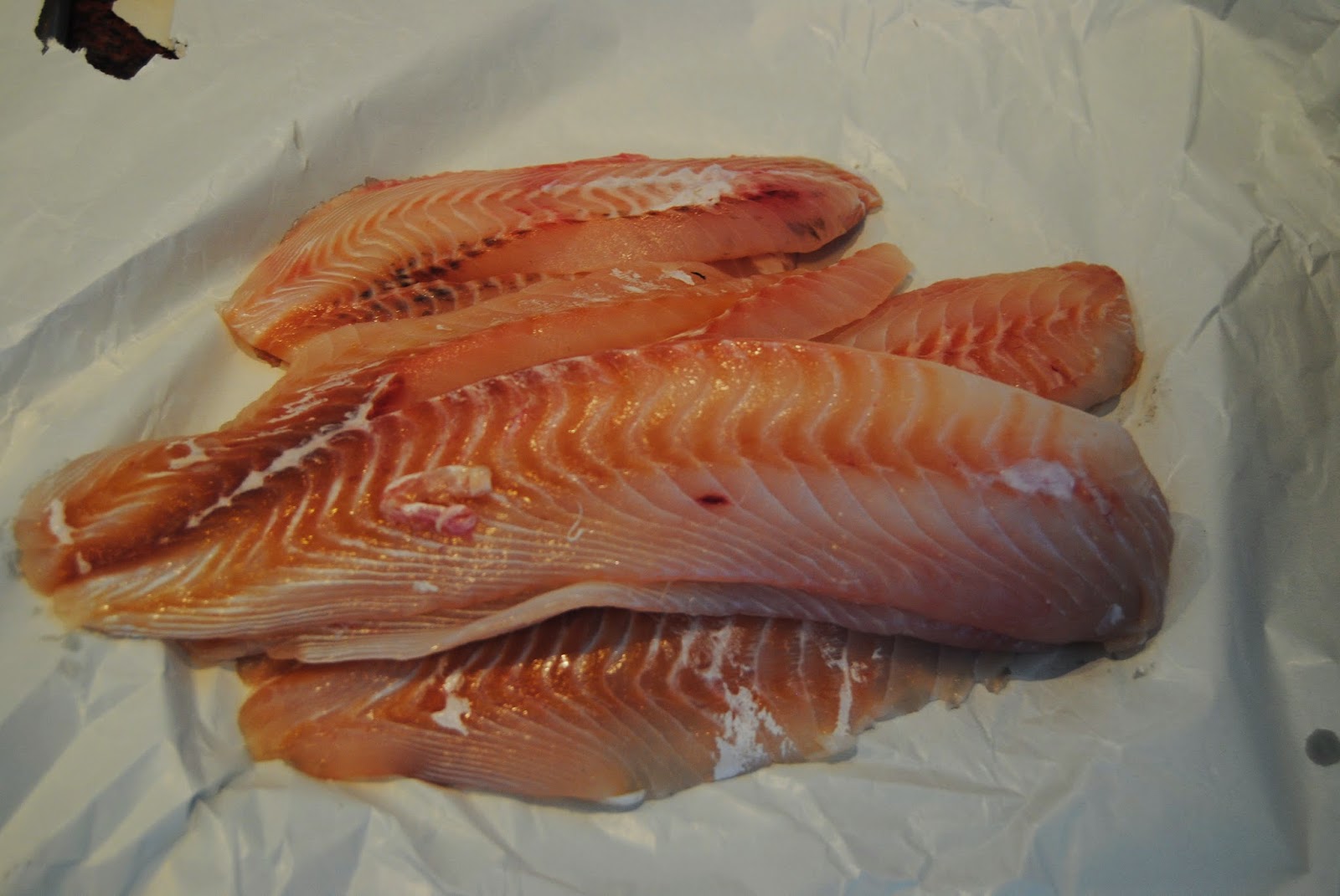 MY COSMOPOLITAN KITCHEN FISH IN "CRAZY" WATER