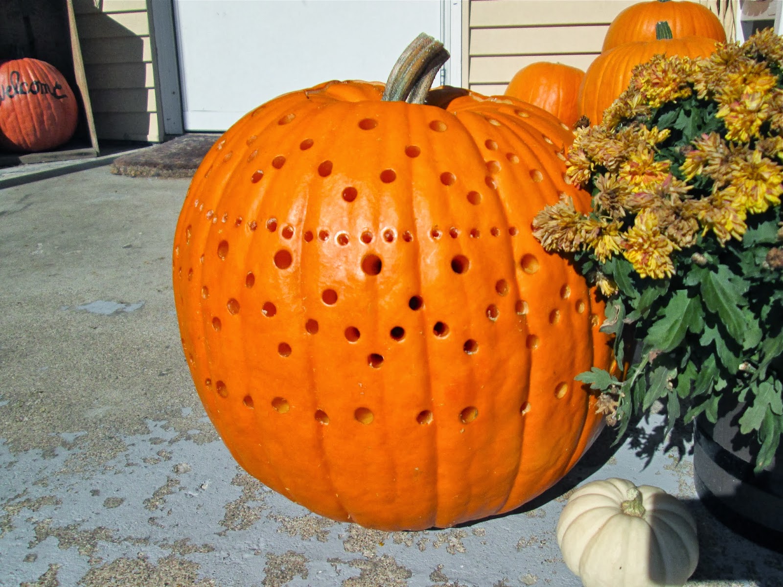 This Little House of Mine: Drilled Pumpkins