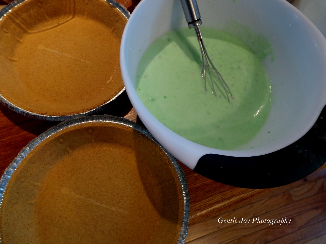 Gentle Joy Homemaker WHAT Is Swamp Pie???