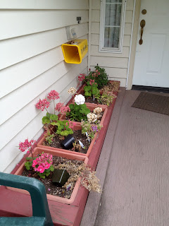 Container bed by a ramp to the front door, under a newspaper box--messy, dead plants, empty disposable planter containers