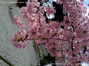  網誌中有日本櫻花的文章連結,這篇是連結清單總匯.         [日本賞櫻基本資料]  [櫻花預測 + 情報]  日本櫻花百選名單+開花日期  2015年日本櫻花百選開花時期  日本人氣賞櫻景點排行榜  日本櫻花景點櫻花樹數量排行榜   [2020年日本櫻花情報]   