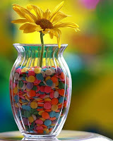 jarrón+de+cristal+con+piedras+de+colores+y+una+flor