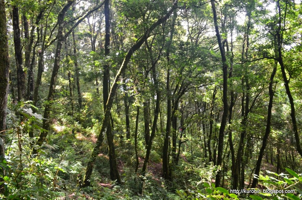 Donde el viento me llevó Volcán Alzatate