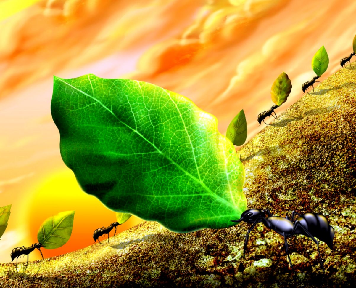 Free Wallpapers  Beautiful Wallpapers  Free Desktop Wallpapers