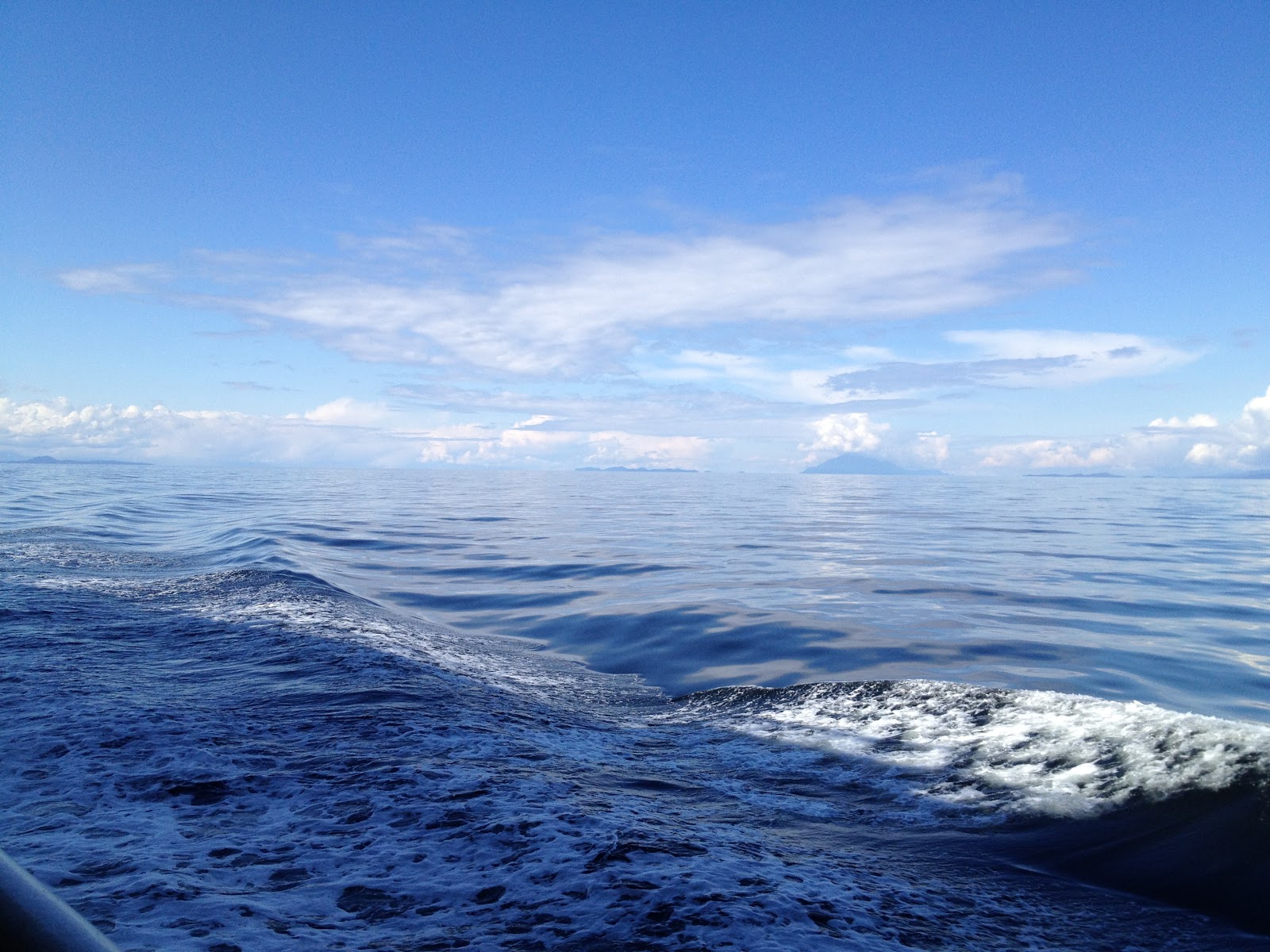 Recover Your Joy: The Ocean Refuses No River