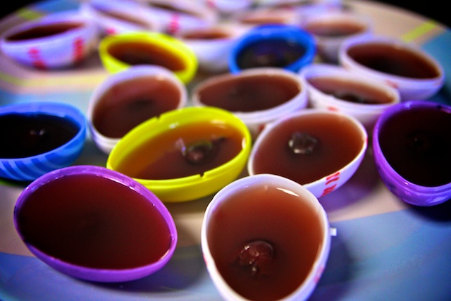 Easter egg jello, Homemade jello, dye free jello