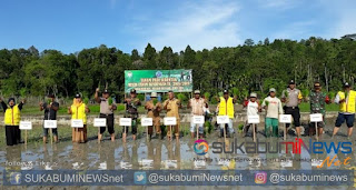 Koramil 28/Meurah Dua Kodim 0102/Pidie Laksanakan Kegiatan Tanam Padi Serentak Musim Tanam Rendengan Koramil 28/Meurah Dua Turut Aktif Sukseskan 5 Kali Tanam dalam 2 Tahun