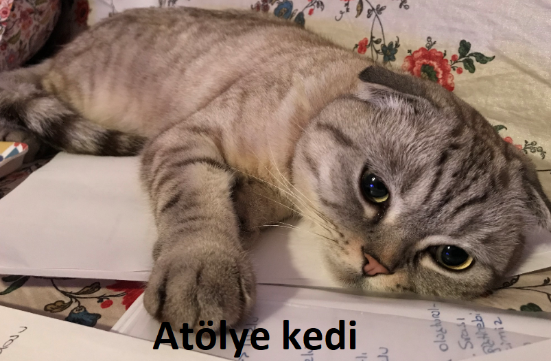 Atölye Kedi Cumadan Pazara…