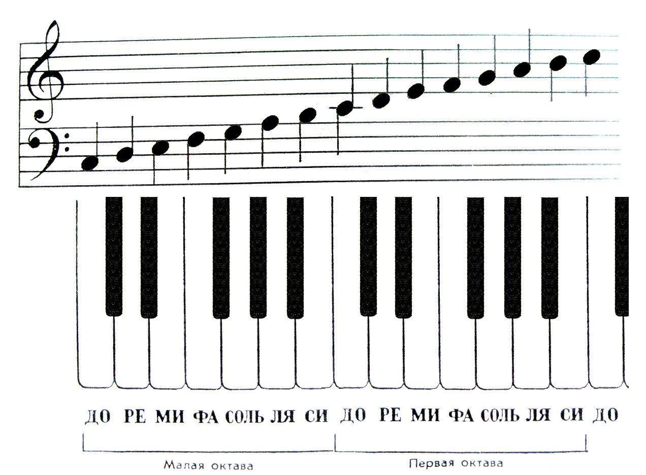 Ноты с названиями для начинающих. Нотная клавиатура 1 Октава. Схема синтезатора 1 Октава. Ноты и октавы на пианино. Ноты 1 октавы.
