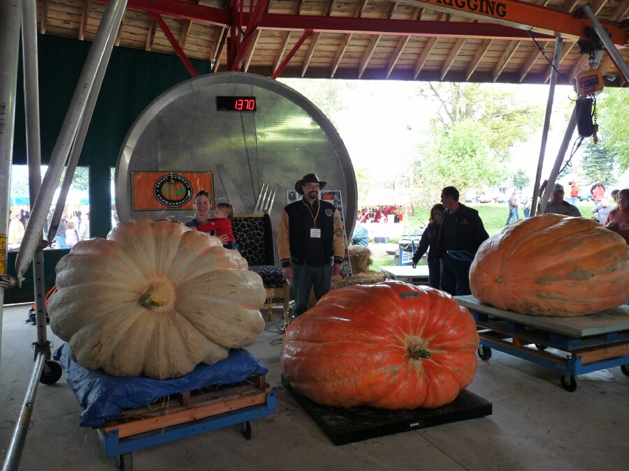 New Bremen Ohio Pumpkin Festival