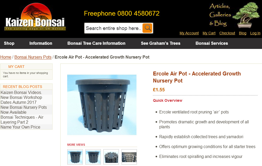 Instant Bonsai For Everyone Bonsai expert Graham Potter on air