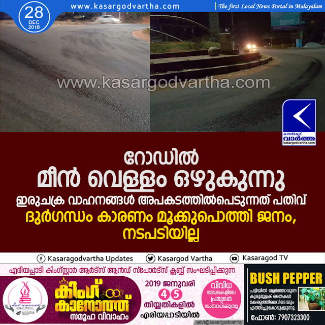 Waste water leaked from Fish lorries; accidents increased, Kasaragod, News, Fish Lorry, Road.