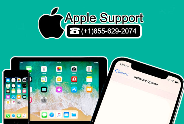 apple customer support number