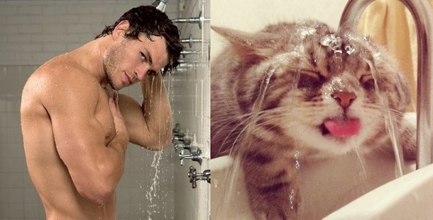 male models and cute kittens