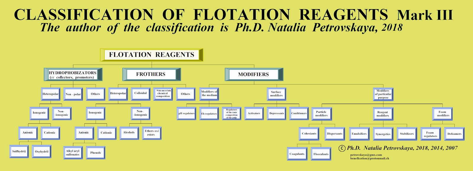 Ph.D. Natalia Petrovskaya CLASSIFICATION OF FLOTATION REAGENTS Mark