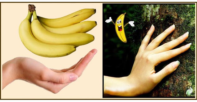Alimentos para mantener nuestro cuerpo siempre sano