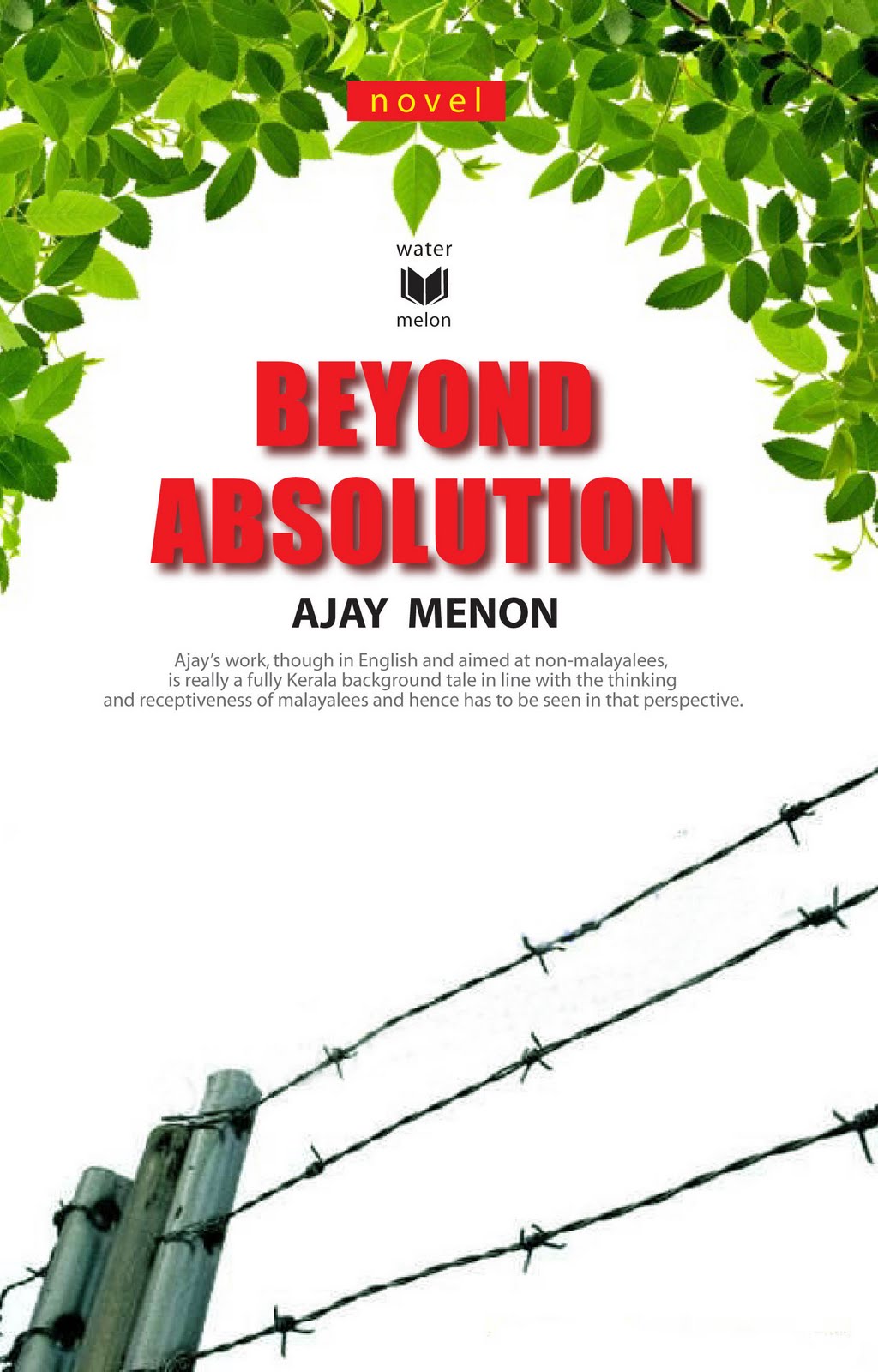 Beyond Absolution raspberry books