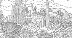 Pdf Gratuits 8 Coloriages De Paysages Pour Adultes Pdf