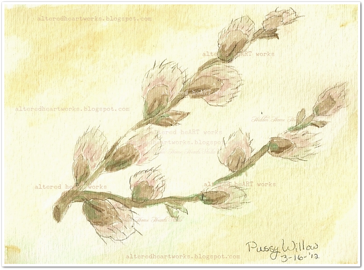 More Of My Watercolor Spring Time Pussy Willows