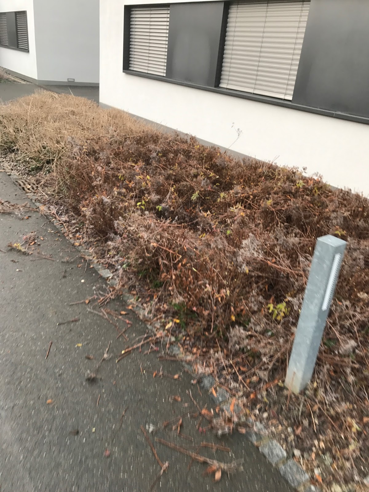 Praxisjahr 2016 17 Pammer Gerharter Schweiz 2016