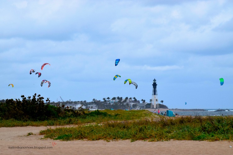 Lighthouse Point, FL | Ms. Toody Goo Shoes Lighthouse Point, FL | Ms. Toody Goo Shoes