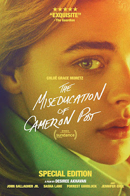 The Miseducation Of Cameron Post Dvd