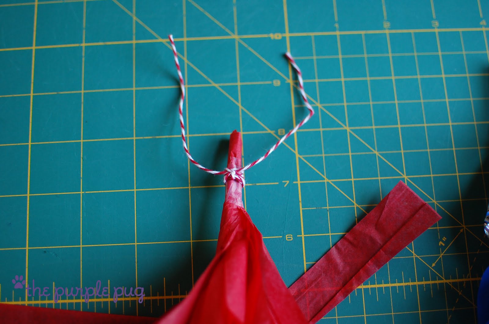 The Purple Pug The Tissue Tassel Garland Tutorial