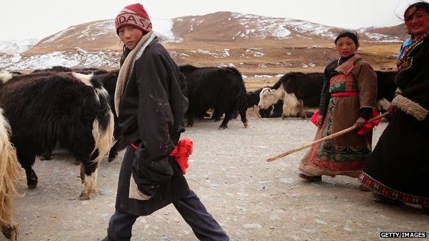 Bigfoot Evidence: Wow, Tibetans Get Their "Altitude Gene" From an