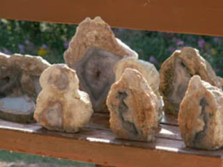 Cosa FARE in Canada