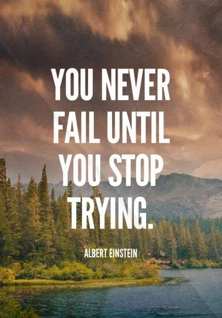 You never fail until you stop trying. - Albert Einstein
