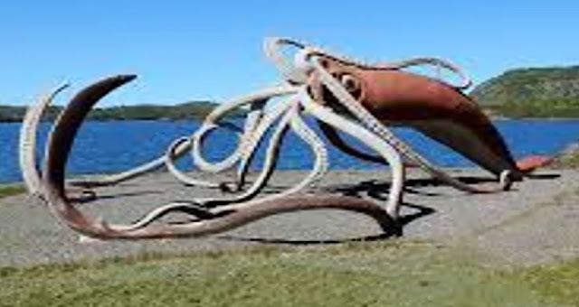 দশটি হাত এমনকি নীল তিমি যাদের প্রধান খাদ্য।