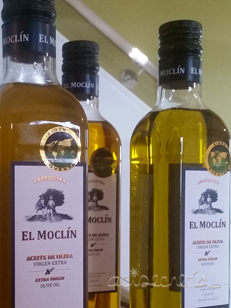 acibecheria “Tosta Moclín”