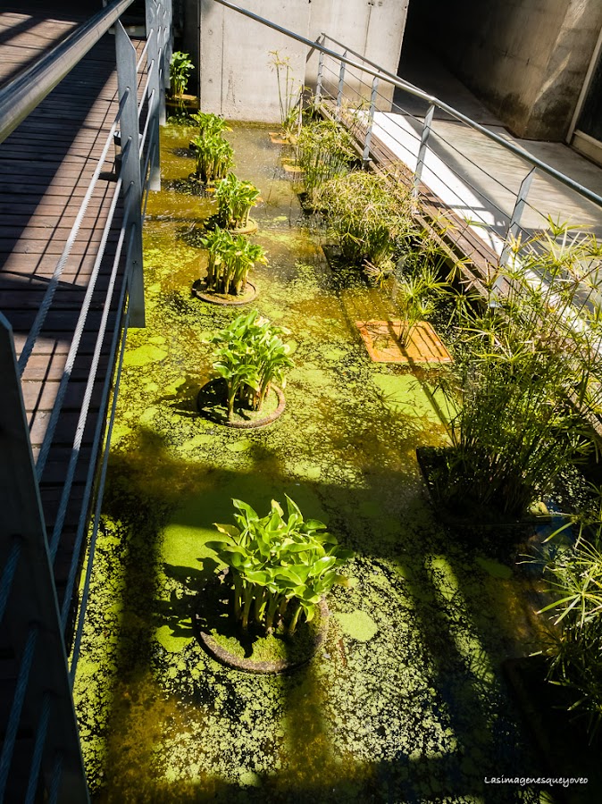 Estufa Fría del parque Juan Carlos I