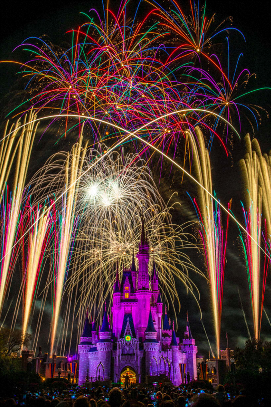 Walt Disney World in Orlando, Florida.