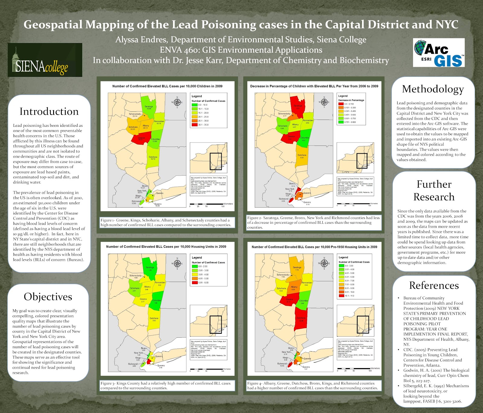 Lead Poisoning Cases in the Capital District and NYC