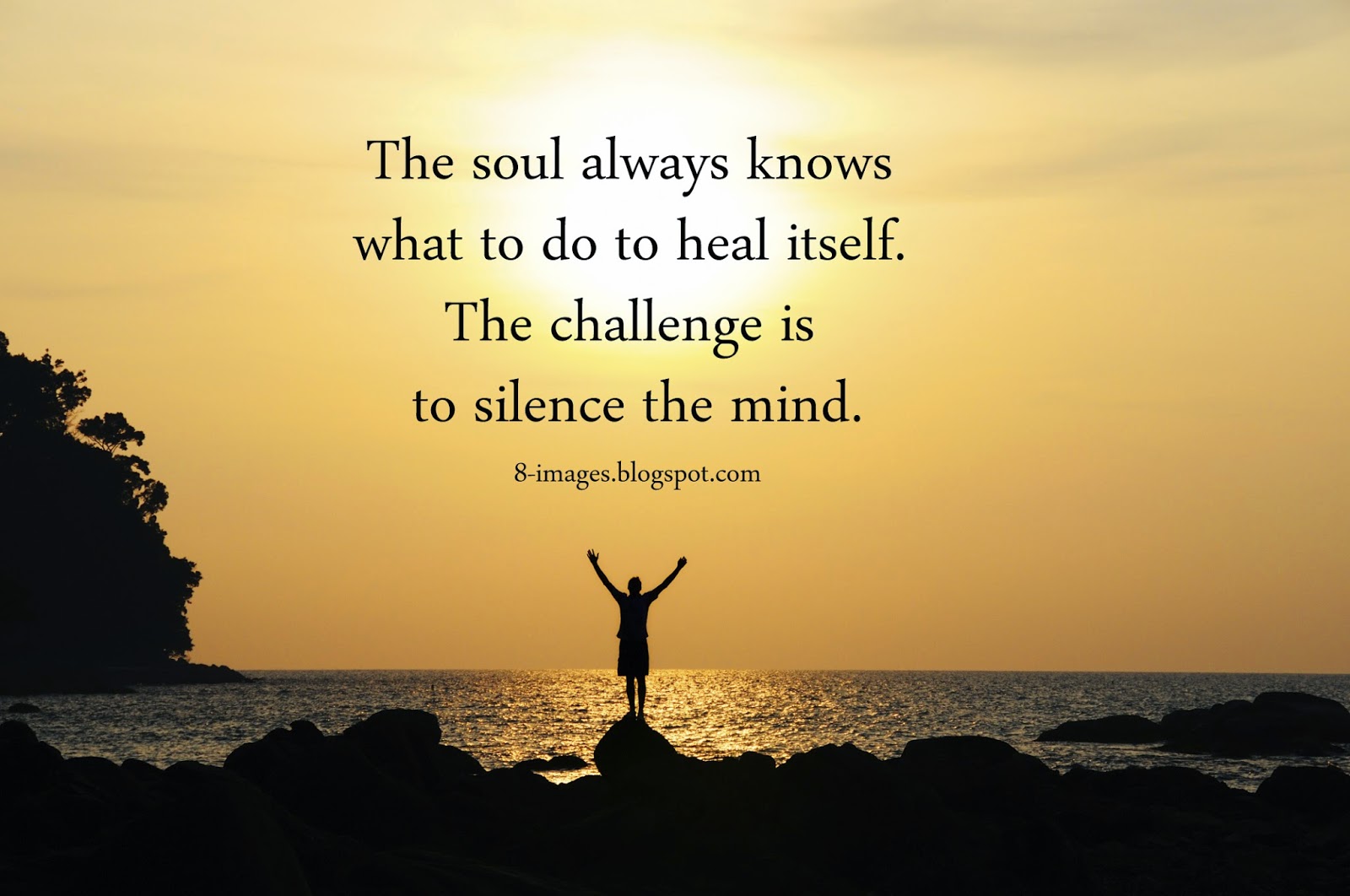 The soul always knows what to do to heal itself. The challenge is to