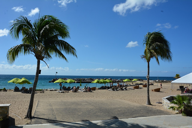 Friar's Beach St. Kitts palm trees