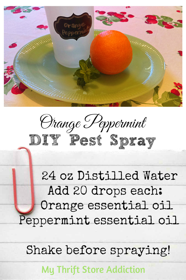 DIY orange peppermint pest spray
