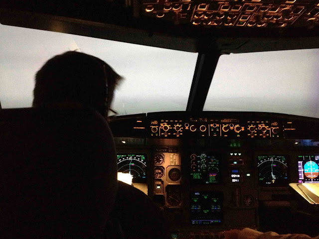 simulator, flight, fly, airbus, aviation, airline, pilot, usairways, american airlines, sim