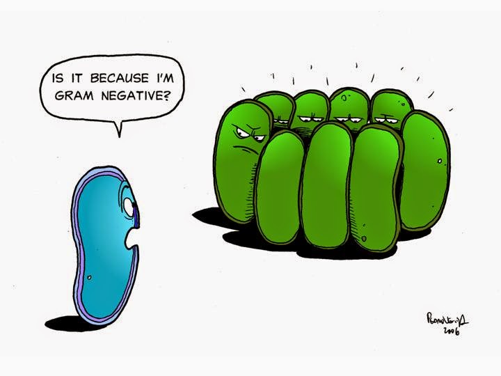 Humor de microbiólogos