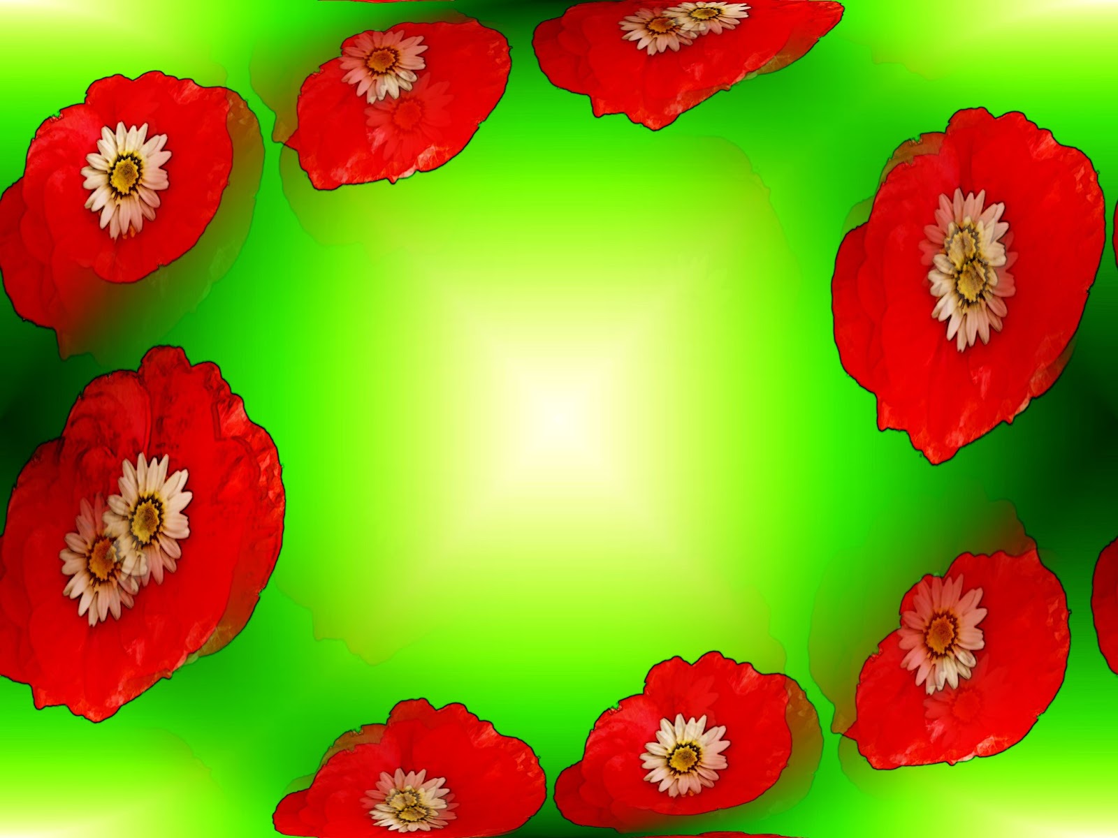 poppy-borders-and-frames-june-26th-2013